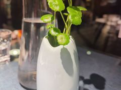 -野蔓果·山野菜(西湖景区·龙井茶田店)