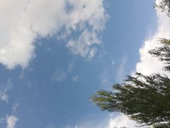 -哈尔滨师范大学(松北校区)