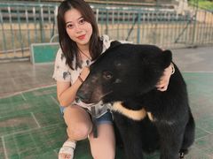 -东方熊牧场