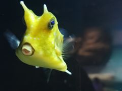 -海合安武汉极地海洋公园