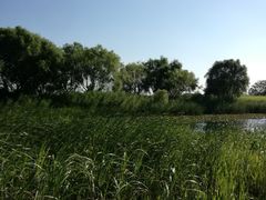 -太湖湖滨国家湿地公园-停车场