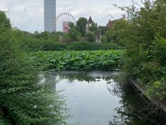 -南湖梦幻岛