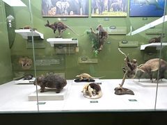 -国家自然博物馆