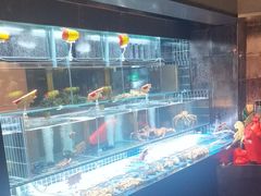 -苏淮景·苏闽融创菜·海鲜(原空港井河轩店)
