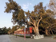 -北京市劳动人民文化宫(太庙)
