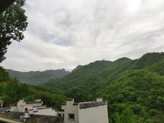-内乡宝天曼生态旅游区