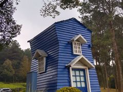 -铁山坪森林公园