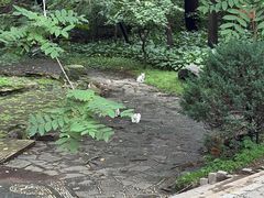 -沈阳植物园