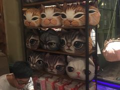 -猫咪博物馆(顶澳仔猫街店)