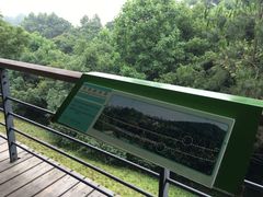 -西湖风景区-江洋畈生态公园