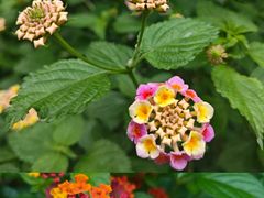 -白帝城·瞿塘峡景区