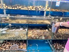 -仙螺岛海鲜自助餐厅(总店)