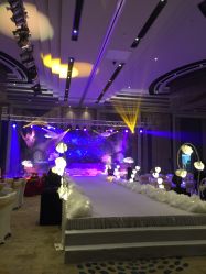 -M'S BANQUET AND SPACE ART