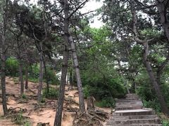 -北山公园