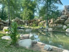 -北京野生动物园