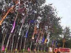 -枫花园汽车电影院(朝阳公园店)