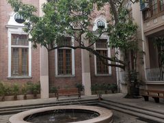 -香港大学