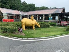 -南京金牛湖风景区