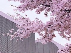 -龙美术馆(西岸馆)