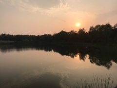 -东郊湿地公园