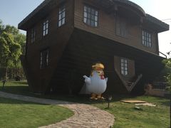 -金山农民画村-枫泾波兰倒置屋