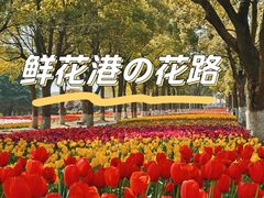 -上海鲜花港