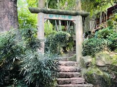 -西泠印社