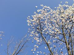 -宜昌市城市规划展览馆