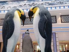 -广东省拱北口岸中国旅行社(华宾营业部)