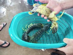 -班赞海鲜市场