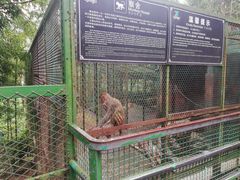 -藏龙百瀑风景区