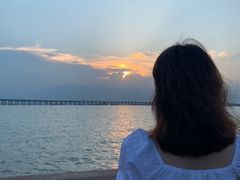 -宝安西湾红树林湿地公园