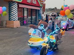 -泉城欧乐堡梦幻世界