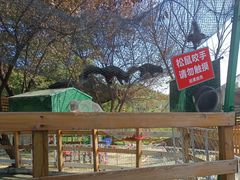 -鹅湖玫瑰文化园