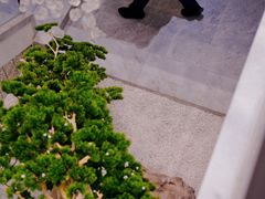 -碧丽宫大酒店(召稼楼店)