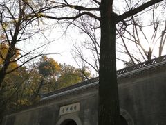 -镇江市南山风景名胜区竹林景区