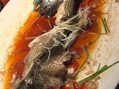 -秦月轩·陕西家乡菜(阜成路·五棵松店)