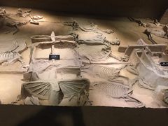 -洛阳周王城天子驾六博物馆