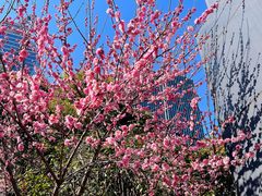 -金桥现代产业园区-停车场