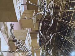 -世界恐龙谷景区