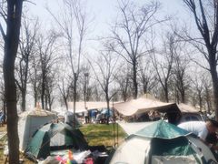 -天津东丽湖风景区