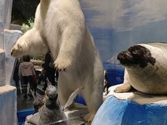 -国家自然博物馆