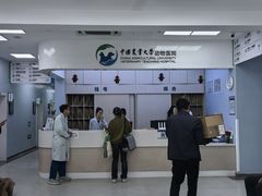 -中国农业大学动物医院