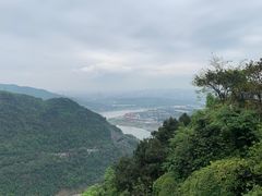 -铁山坪森林公园