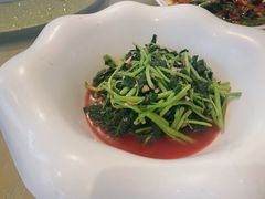 乳汁苋菜-日出青木·杭帮菜名店