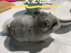 -济南恒隆广场