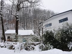 -秦岭风景区