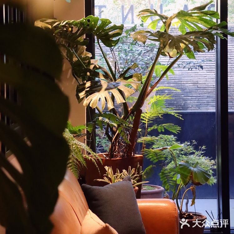 西湖景区里竟然藏着高格调的意大利酒庄/融合私房菜也如此不俗