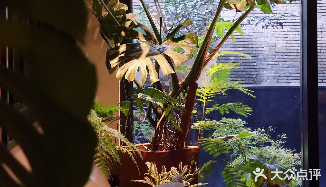 西湖景区里竟然藏着高格调的意大利酒庄/融合私房菜也如此不俗