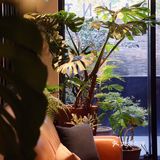 西湖景区里竟然藏着高格调的意大利酒庄/融合私房菜也如此不俗